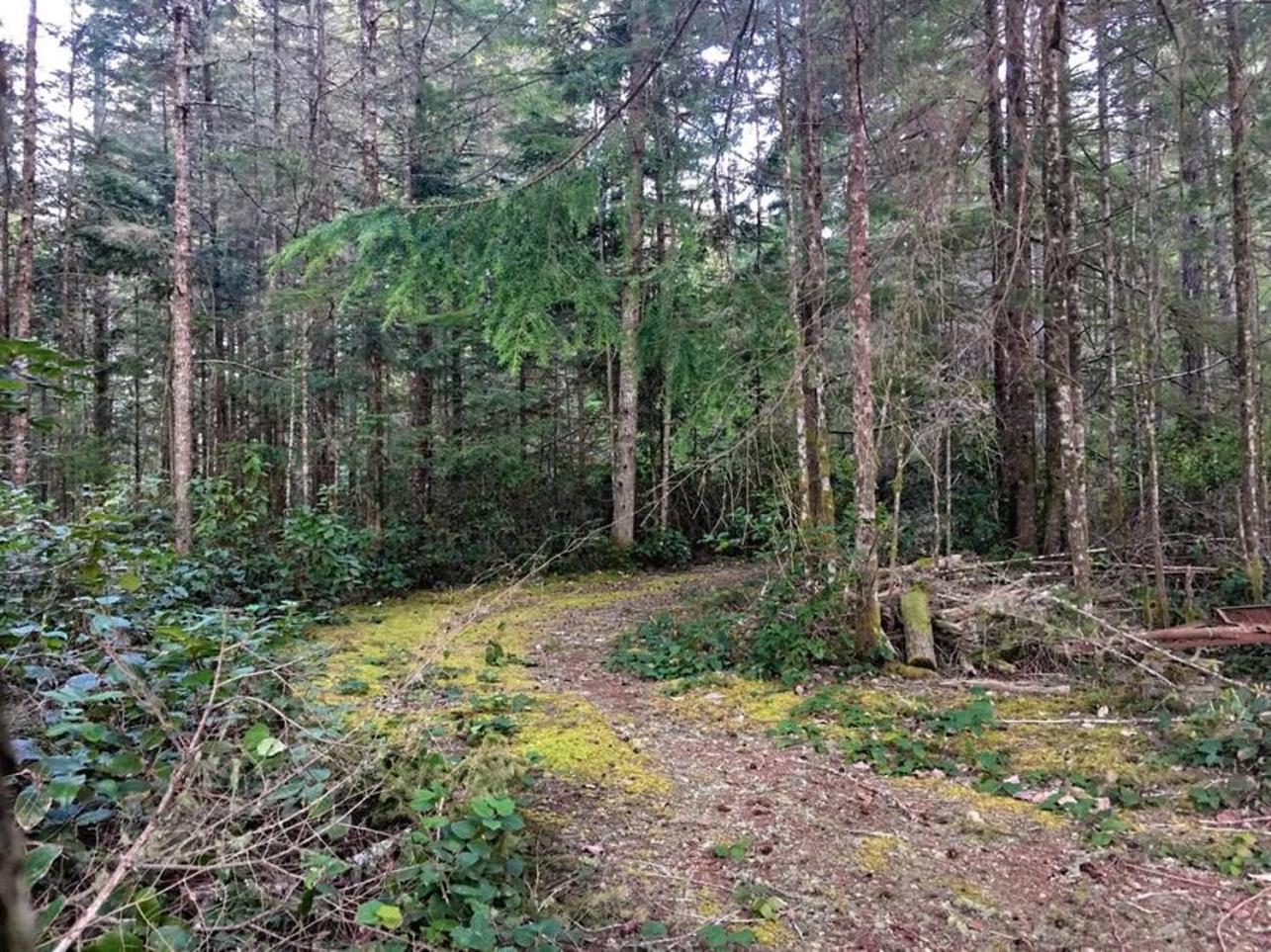 The Great Escape - Shirley & Bunkhouse Villa Sooke Exterior foto